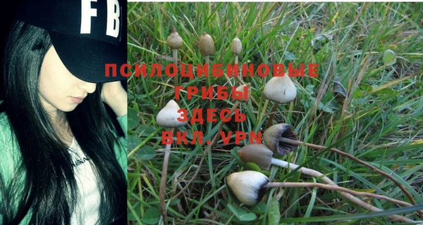 дмт Балахна